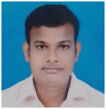 Mr. Biswajit Rai